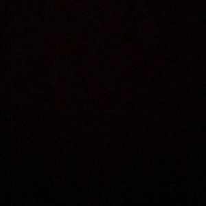 Meet your Posher, Elise